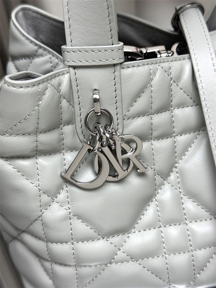 DIOR TOUJOURS BAG SMALL Macrocannage Calfskin Grey High