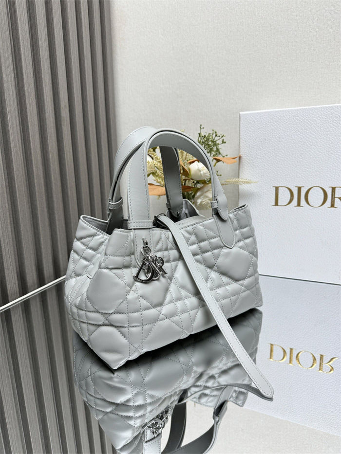 DIOR TOUJOURS BAG SMALL Macrocannage Calfskin Grey High