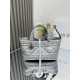 DIOR TOUJOURS BAG SMALL Macrocannage Calfskin Grey High