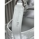 DIOR TOUJOURS BAG SMALL Macrocannage Calfskin Grey High