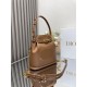 C'est Dior Bag Medium CD-Embossed Calfskin Golden Saddle High