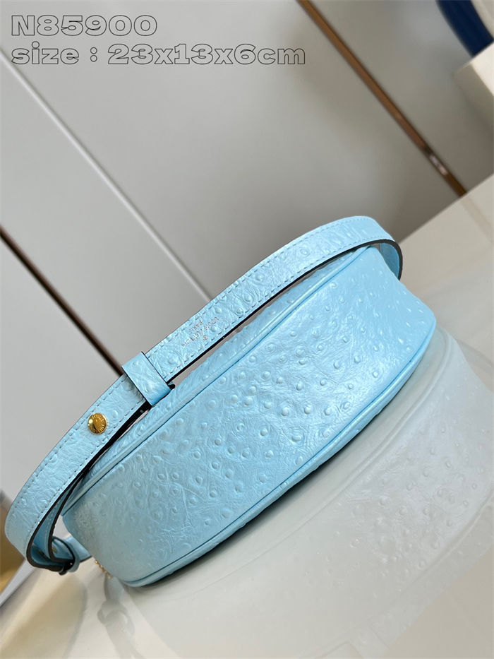 Louis Vuitton LOOP Handbag Ostrich leather N85900 Blue High