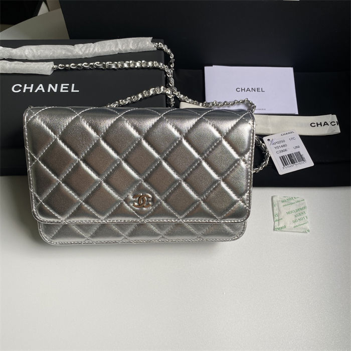 Classic Wallet on Chain AP0250 Lambskin Silver B