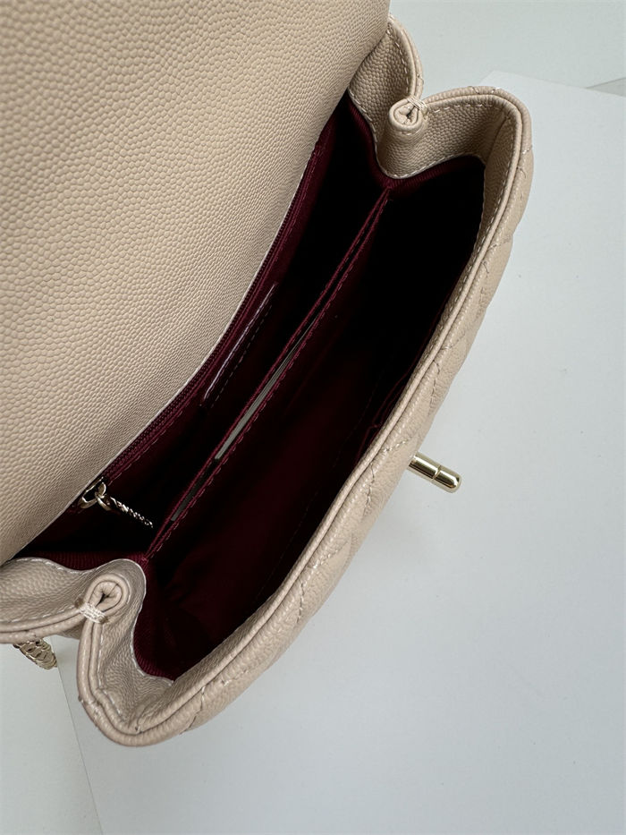 SMALL FLAP BAG WITH TOP HANDLE Grained Calfskin Beige Gold Metal High