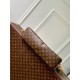 Louis Vuitton Slouchy MM Monogram Coated canvas M12098 High