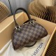 Louis Vuitton Rivera Bag Damier Ebene M41436 High