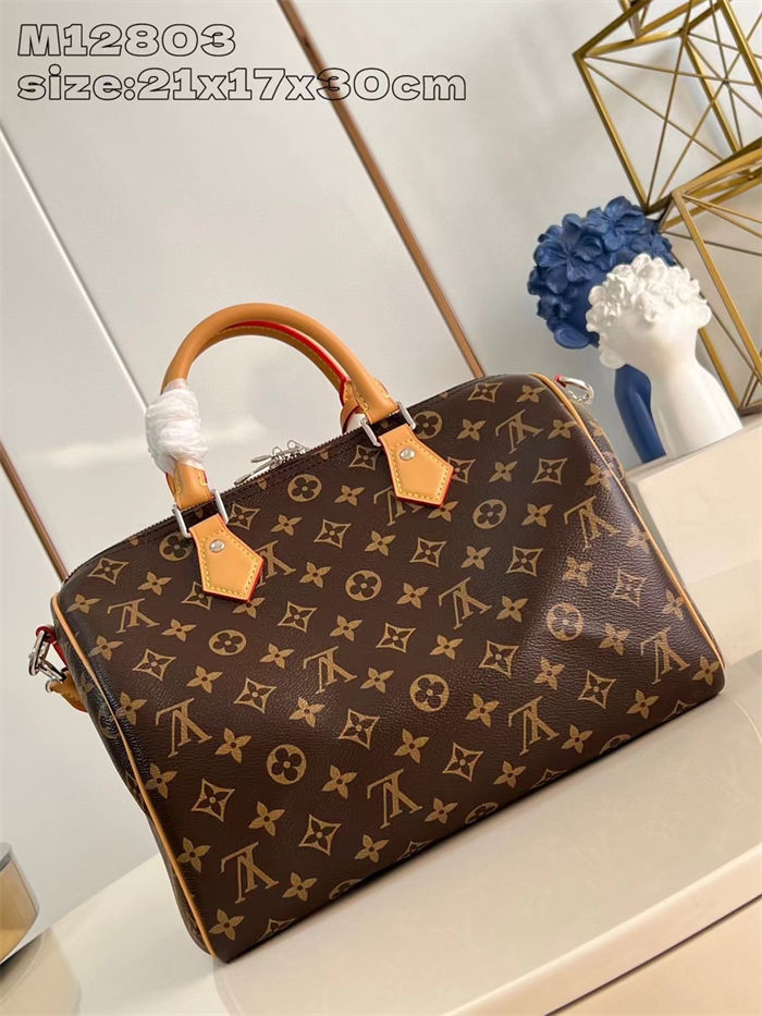 Louis Vuitton Speedy Soft 30 Crafty Monogram Coated canvas M12803 High