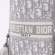 Dior BUBBLE BUCKET BAG Dior Oblique Embroidery Grey High