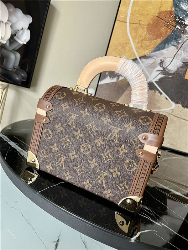 Louis Vuitton COTTEVILLE BOX CASE PM M20211 Monogram High