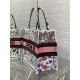 MEDIUM Dior BOOK TOTE Florilegio Embroidery High