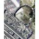 SMALL Dior BOOK TOTE Toile de Jouy Embroidery High