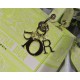 MEDIUM LADY D-LITE BAG Toile de Jouy Reverse Embroidery Lime High