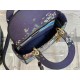 MEDIUM LADY D-LITE BAG Multicolor D-Constellation Embroidery High