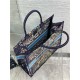 LARGE Dior BOOK TOTE Multicolor D-Constellation Embroidery High