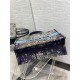 LARGE Dior BOOK TOTE Multicolor D-Constellation Embroidery High