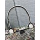 LARGE Dior BOOK TOTE Multicolor D-Constellation Embroidery High