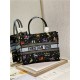 MEDIUM Dior BOOK TOTE Dior Pixel Zodiac Embroidery Black High