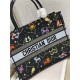 MEDIUM Dior BOOK TOTE Dior Pixel Zodiac Embroidery Black High