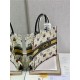 LARGE Dior BOOK TOTE Dior Pixel Zodiac Embroidery White High