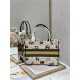 MEDIUM Dior BOOK TOTE Dior Pixel Zodiac Embroidery White High