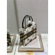 SMALL Dior BOOK TOTE Dior Pixel Zodiac Embroidery White High