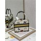 SMALL Dior BOOK TOTE Dior Pixel Zodiac Embroidery White High