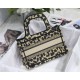 MINI Dior BOOK TOTE Beige Multicolor Mizza Embroidery High