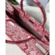 LARGE Dior BOOK TOTE Toile de Jouy Reverse Embroidery Red High