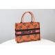 MEDIUM Dior BOOK TOTE Multicolor Dragon & Fire Embroidery Orange High