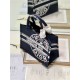 SMALL Dior BOOK TOTE Jute Canvas Embroidered with Dior Union Motif High