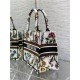 SMALL Dior BOOK TOTE Dior Petites Fleurs Embroidery White High