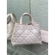 DIOR TOUJOURS BAG MEDIUM Macrocannage Calfskin Pale Pink High