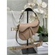 Mini SADDLE BAG Grained Calfskin Nude Blush High