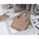 MICRO LADY Dior BAG Cannage Lambskin Nude Top