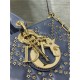 LADY D-JOY BAG MEDIUM Lucky Star Cannage Lambskin High