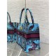 SMALL Dior BOOK TOTE Toile de Jouy Voyage Embroidery Blue High