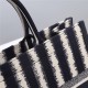 LARGE Dior BOOK TOTE D-Stripes Embroidery Blue High