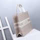 LARGE Dior BOOK TOTE Multicolor Stripes Embroidery High