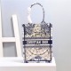 VERTICAL Dior BOOK TOTE Embroidery High