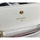 Chanel 19 Flap Coin Purse with Chain Shiny Goatskin Gold Silver Ruthenium-Finish Metal White A