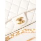 SMALL FLAP BAG WITH TOP HANDLE Shiny Lambskin & Gold-Tone Metal AS4023 White A