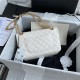 2.55 HANDBAG Aged Calfskin White & Ruthenium-Finish Metal A