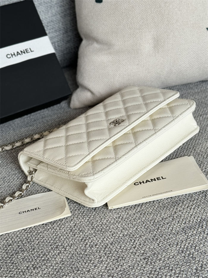 Classic Wallet on Chain AP0250 Grained Calfskin White Silver Metal B