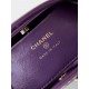 Chanel 31 Mini BAG Calfskin & Gold-Tone Metal AP3656 Purple A