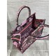 SMALL Dior BOOK TOTE Toile de Jouy Voyage Embroidery Pink High