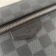 Louis Vuitton NEW POUCH Damier Graphite High