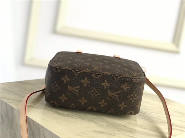 Louis Vuitton Nano Noé Monogram High