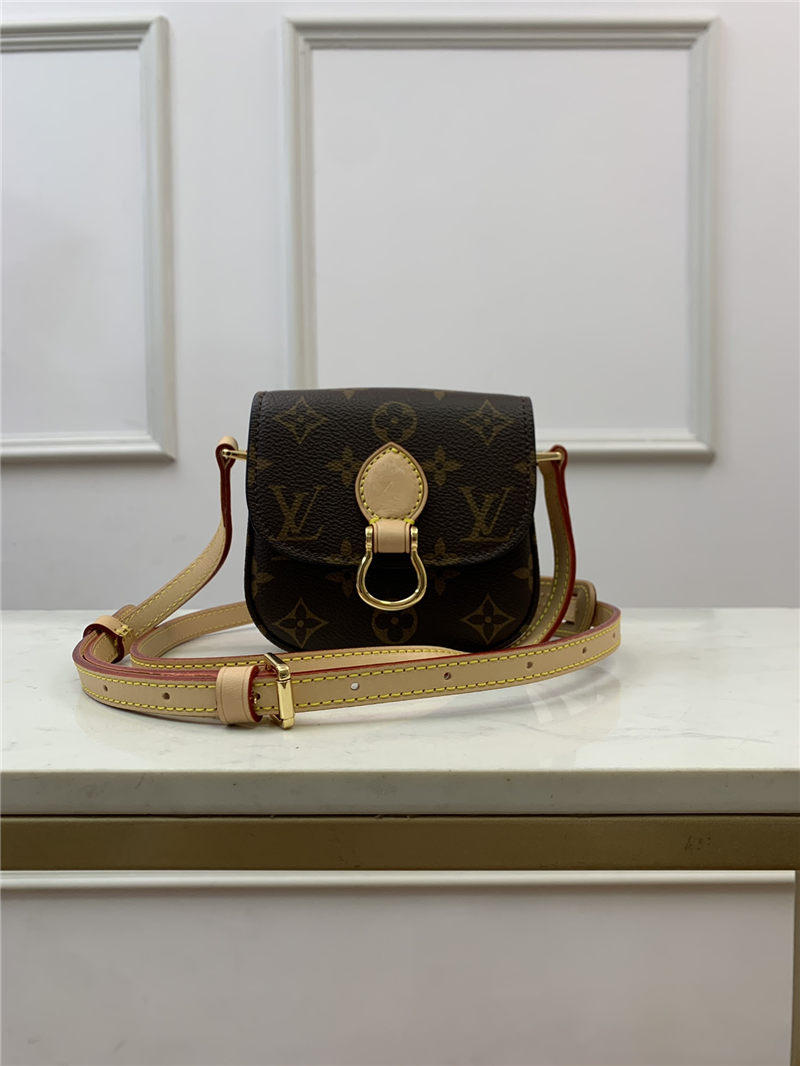 Louis Vuitton SAINT CLOUD MINI Monogram M51245 High