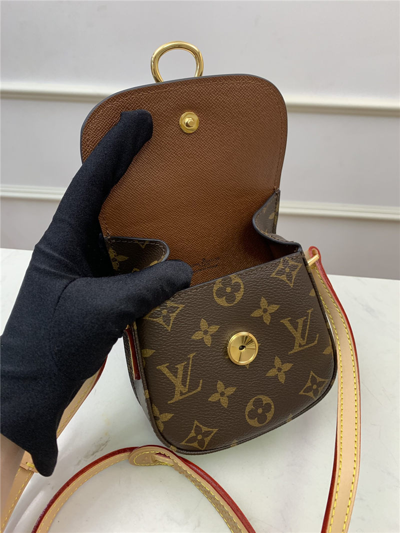 Louis Vuitton SAINT CLOUD MINI Monogram M51245 High