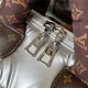 Louis Vuitton Speedy Bandouliere 25 Econyl M20973 High